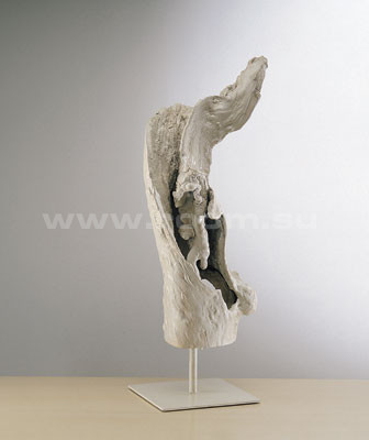 SMANIA MAREA (MAGNOLIA COLLECTION)