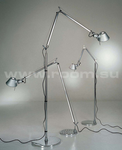  TOLOMEO