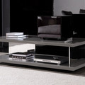 MINOTTI STARR