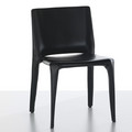 CASSINA BULL