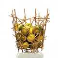  BLOW UP BAMBOO     ALESSI