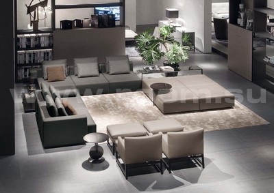 MINOTTI Wearing