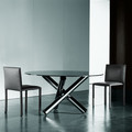 MINOTTI 